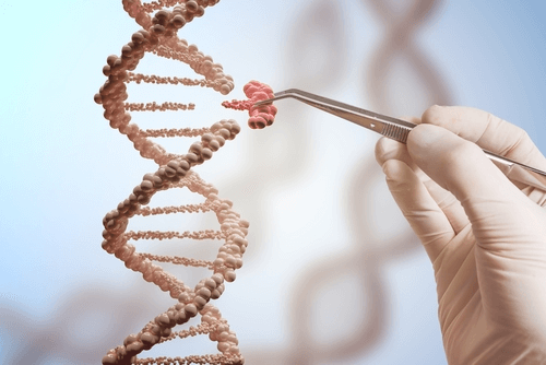 DNA and genetic testing concept for hereditary cancer conditions